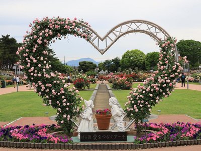 🌹 시키시마 공원 카도쿠라 테크노 장미원(시키시마코우엔 카도쿠라 테크노 바라엔) 이미지 2